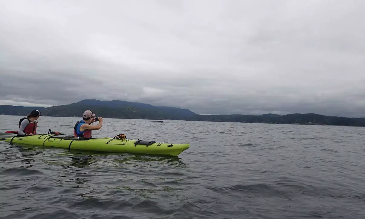 Half- or Full-Day Two-Person Kayak Tour from  Quadra Island Kayaks (Up to 50% Off) - Second Medium