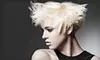 Haircut Package with Deep Conditioning or Coloring at Tuana Hair Design in Fort Collins (Up to 74% Off)  