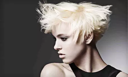 Haircut Package with Deep Conditioning or Coloring at Tuana Hair Design in Fort Collins (Up to 74% Off)   - Primary Image