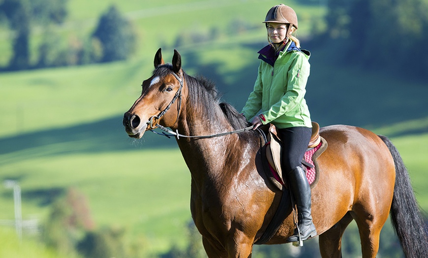 Image 1: Giddy Up! 1-Hour Horse Ride