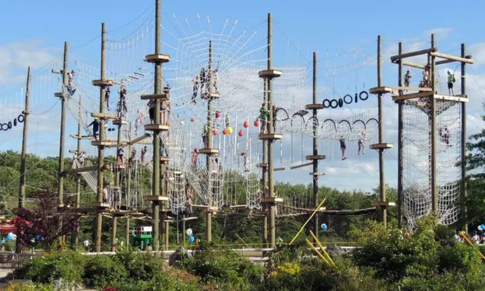 $50 for High Ropes Course and Zip Line Tours at Take Flight ($99 Value) - Primary Image