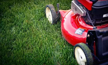 Three or Six Months of Lawn Care with Trimming and Cutting from K&R Construction Company (Up to 72% Off) - Primary Image