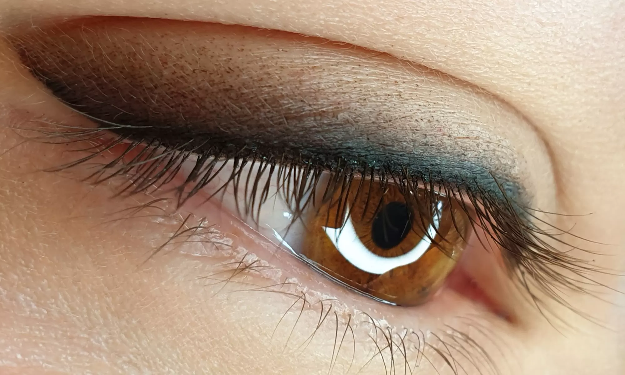 Permanent Eyeliner or Lash Enhancement with Optional Touch-Up