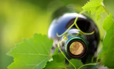 Wine-Tasting Tour for Two, Four, or Six People at Godfrey-Brownell Vineyards in Duncan - Primary Image