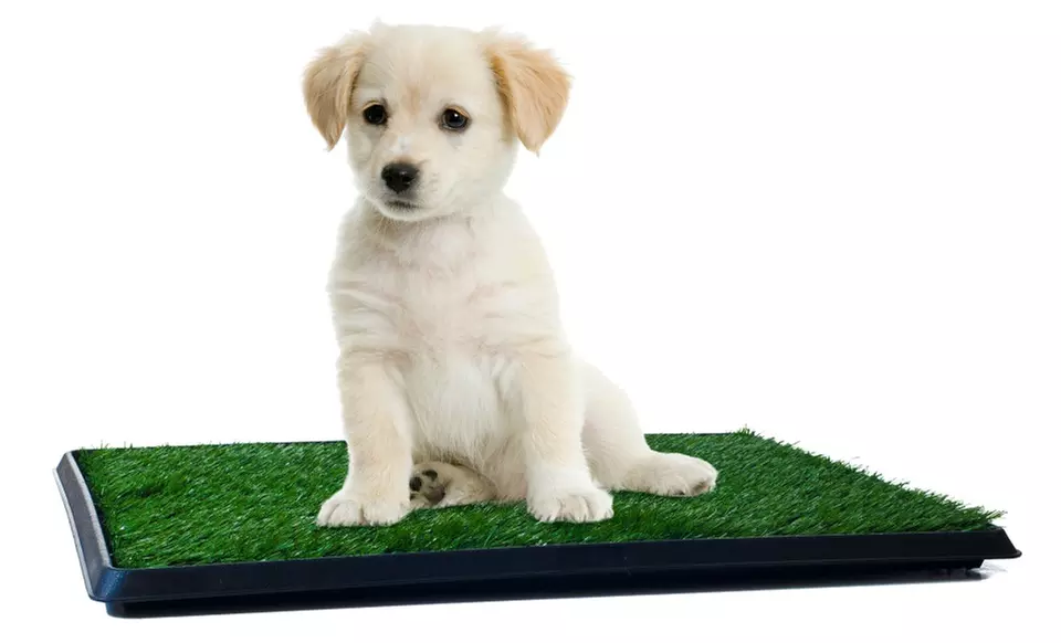Puppy Potty Trainer: The Indoor Restroom for Pets  - Primary Image