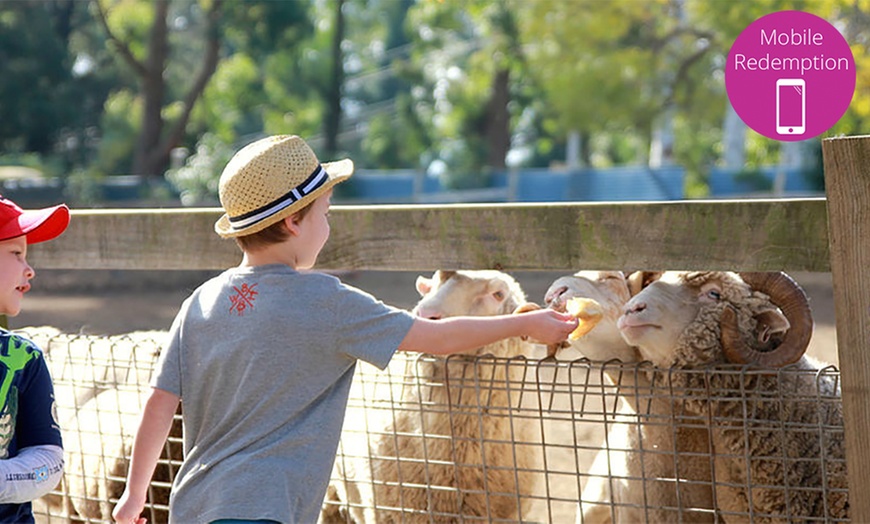 Image 2: Golden Ridge Animal Farm Entry