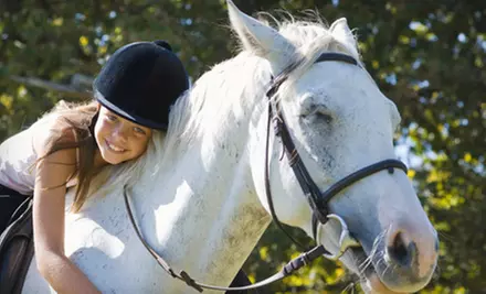 $35 for Two Private Horseback-Riding Lessons at Jon Walker Stables & Academy Program ($70 Value) - Primary Image