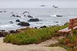 Two-Night Stay at Olympia Lodge in Pacific Grove, CA - Second Medium