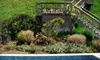 $99 for a 45-Minute On-Site Consultation and Conceptual Sketches from Cleator Landscape Design (Up to $650 Value)