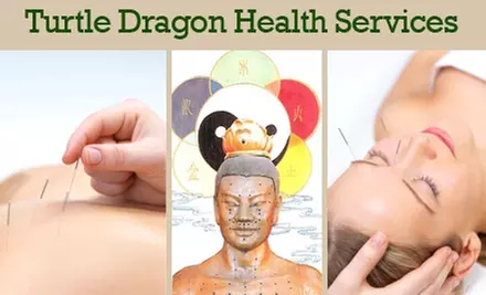$35 for a 90-Minute Acupuncture Assessment and Treatment at Turtle Dragon Health Services ($80 Value) - Primary Image