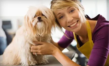 Dog-Grooming Services at Gentle Pet Grooming. Three Options Available. - Primary Image