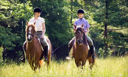 $25 for a Guided Trail Ride for Two from Equine Education Shelby Trails Park in Simpsonville ($50 Value)  - Primary Image