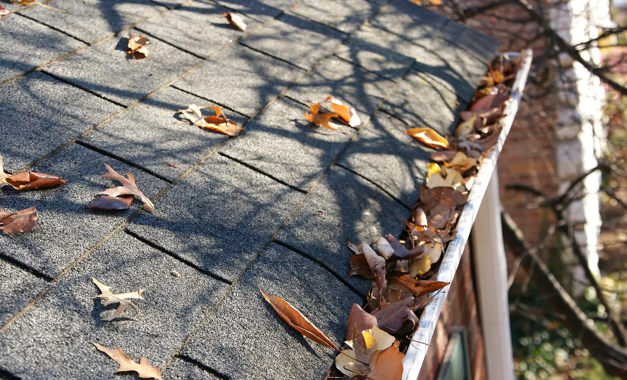 Roof Inspection and Gutter Cleaning from Insight Property Services (52% Off) - Primary Image