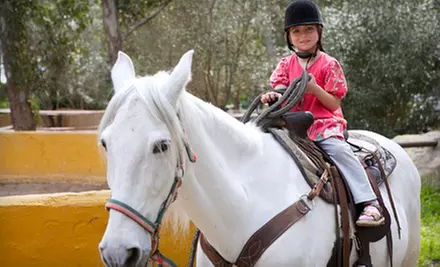 One or Three Private Horseback-Riding Lessons or a One-Month Lease with Lessons at K/B Stables (Up to 64% Off) - Primary Image