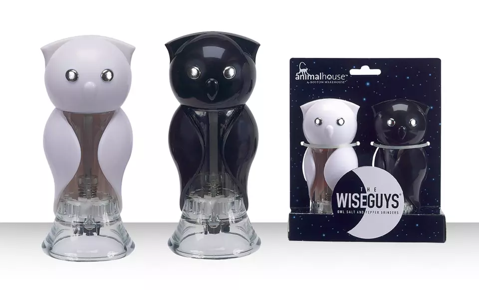 Owl-Shaped Salt and Pepper Grinder Set - Primary Image
