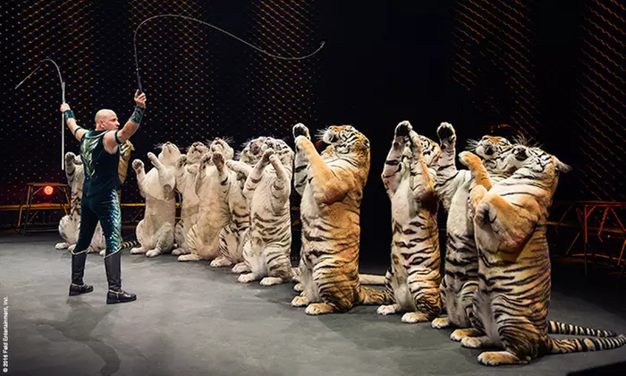 <i>Ringling Bros. and Barnum & Bailey</i> Presents <i>Circus XTREME</i> (November 3–6)  - Second Medium