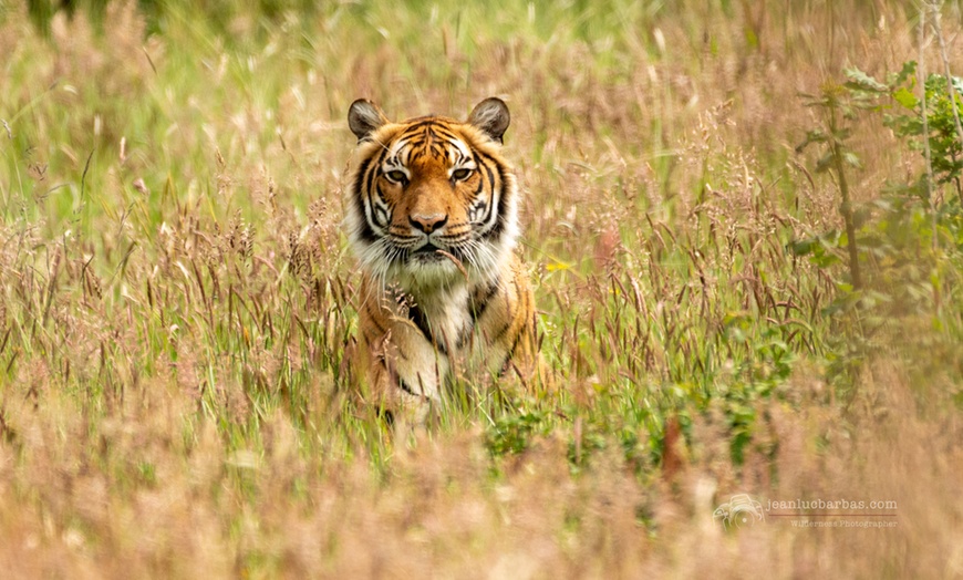 Image 6: Le "plus grand safari de France" : journée d'évasion à Planète Sauvage