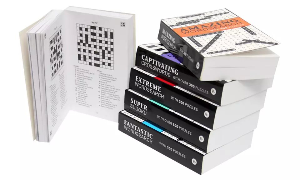 Perplexing Puzzle (6-Pack) - Second Medium