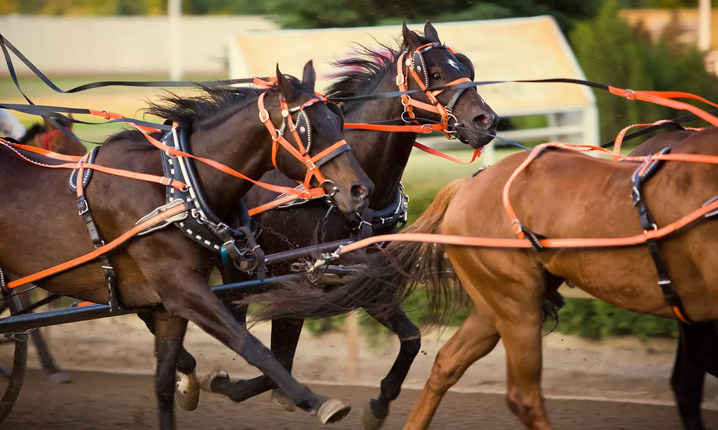 New Player Horse Race Betting Credit at TwinSpires (Up to 50% Off) - Primary Image