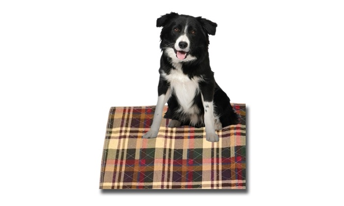 washable puppy pads walmart washable puppy pad groupon goods washable puppy pads walmart washable puppy pad groupon goods