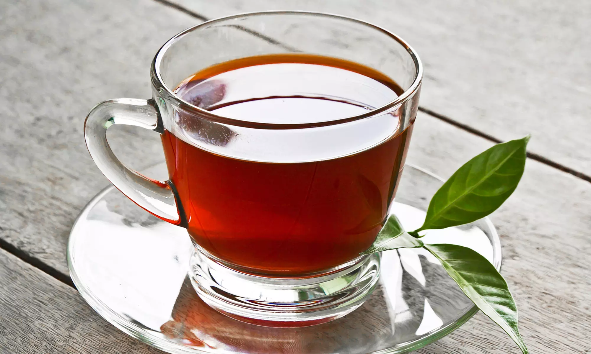 Taste and Brew Kombucha in a Hands-On Class - Primary Image
