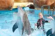 Antibes : 1 nuit avec petit déjeuner au Marineland Resort et accès au parc Marineland en option pour 2 ou 4 personnes - Second Medium