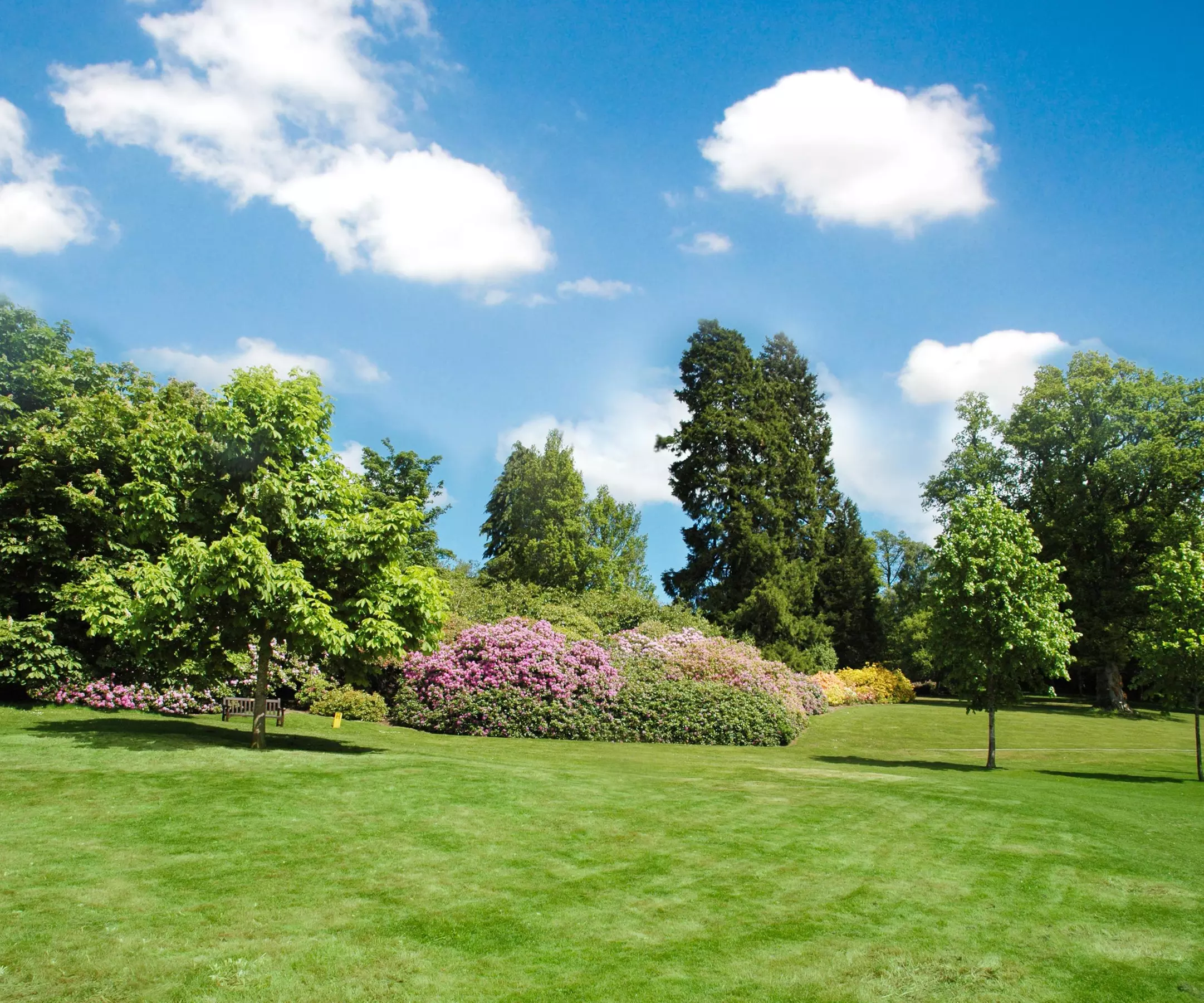17% Off Landscaping - Primary Image