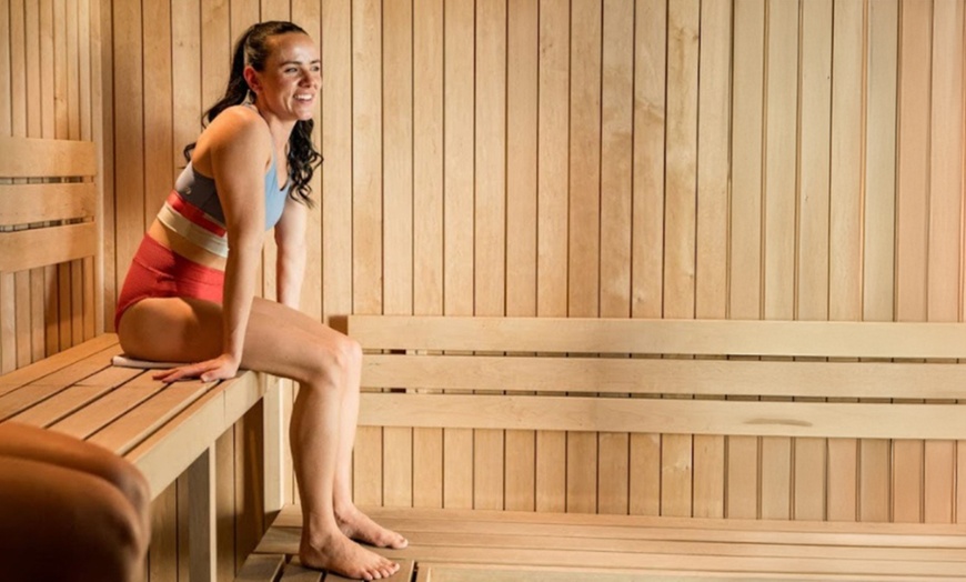Image 1: General Admission for Hot Sauna & Cold Plunge for 1,3 or 5 - Valid M-F