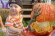 Discover Chris' Farm Stand's  $15 or $20 Voucher Towards Pumpkin Purchase or One Hayride  (Up to 33% Off) - Second Medium