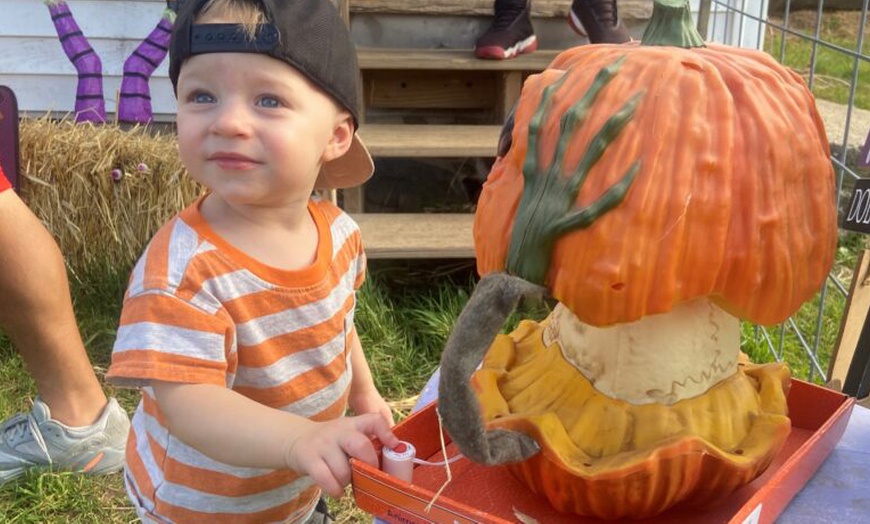 Image 3:  Enjoy $15 or $20 Voucher Towards Pumpkin Purchase or One Hayride 