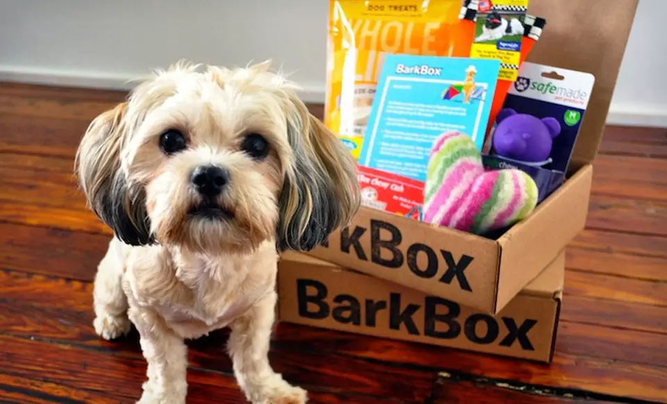 $39 for a Three-Month Subscription for Dog Goodies from BarkBox ($69 List Price). Free Shipping. - Primary Image