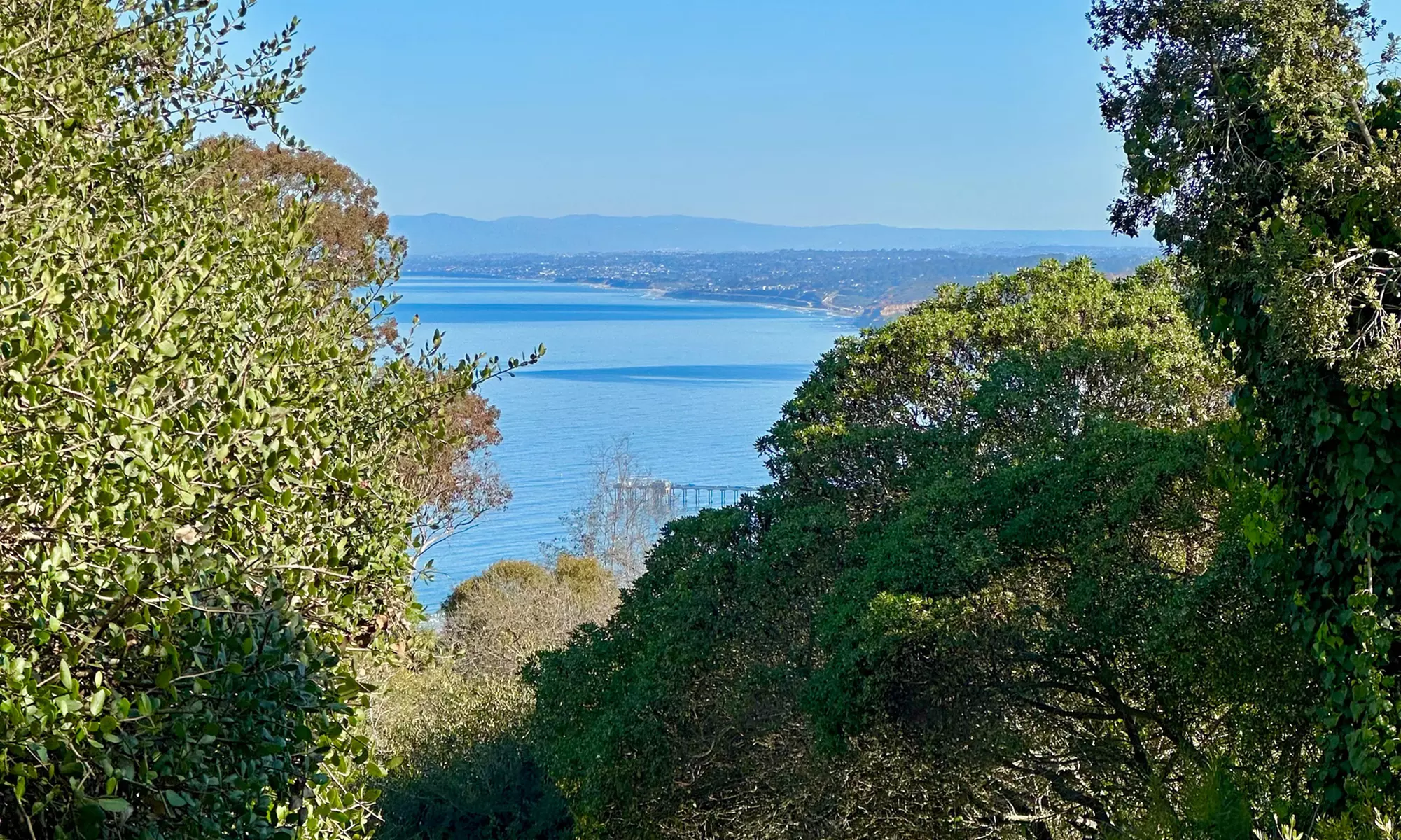 Explore La Jolla's Hidden Trails on a 90- Min Mindful Adventure Walk