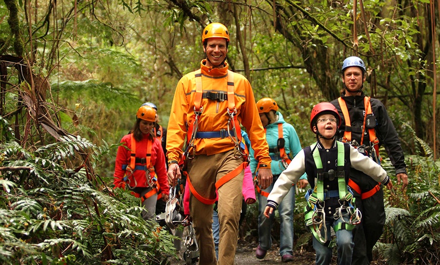 Image 3: Illawarra Fly Zipline Experience