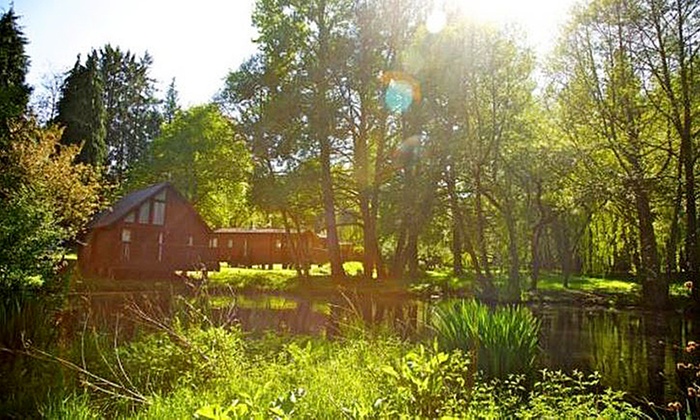 Whitemead Forest Park in Parkend, Gloucestershire | Groupon Getaways