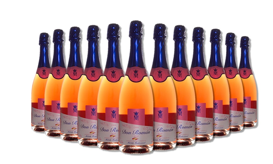 Image 3: 12 Bottles of Cava Brut or Rose