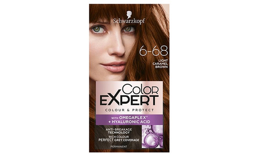 Image 32: Schwarzkopf Color Expert Hair Dye