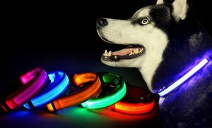 LED Dog Collar