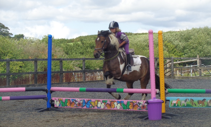 Image 4: Private Horse Riding Lesson