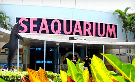 $159 for a Sea Trek Reef Encounter for Two with Photos on CD and Park Entry at Miami Seaquarium (Up to $258 Value) - Second Medium
