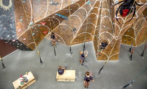 Indoor Rock Climbing Pass