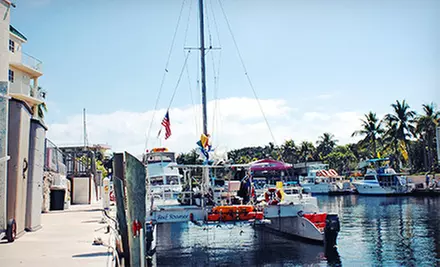 Morning Snorkeling Trip with Gear Rentals for One or Two from Reef Roamer and Quicksilver Catamarans (Up to Half Off) - Second Medium