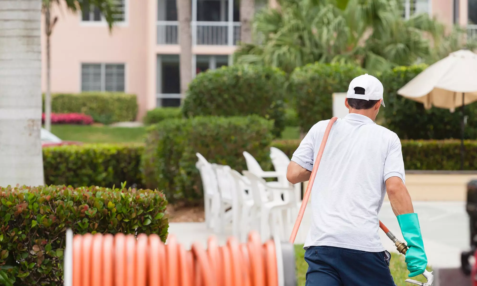 Discover effective termite solutions with All Green Pest Elimination, offering pest-control treatment and termite inspection up to 50% - Primary Image