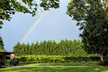 Savor Unique Wines w/ Wine Tasting Flight for 1, 2, or 4 People @ Douglas Vineyards (Up to  44%  Off) - Second Medium