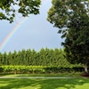Image 3: Enjoy a Wine Tasting Flight for 1, 2, or 4 People in a Scenic Vineyard