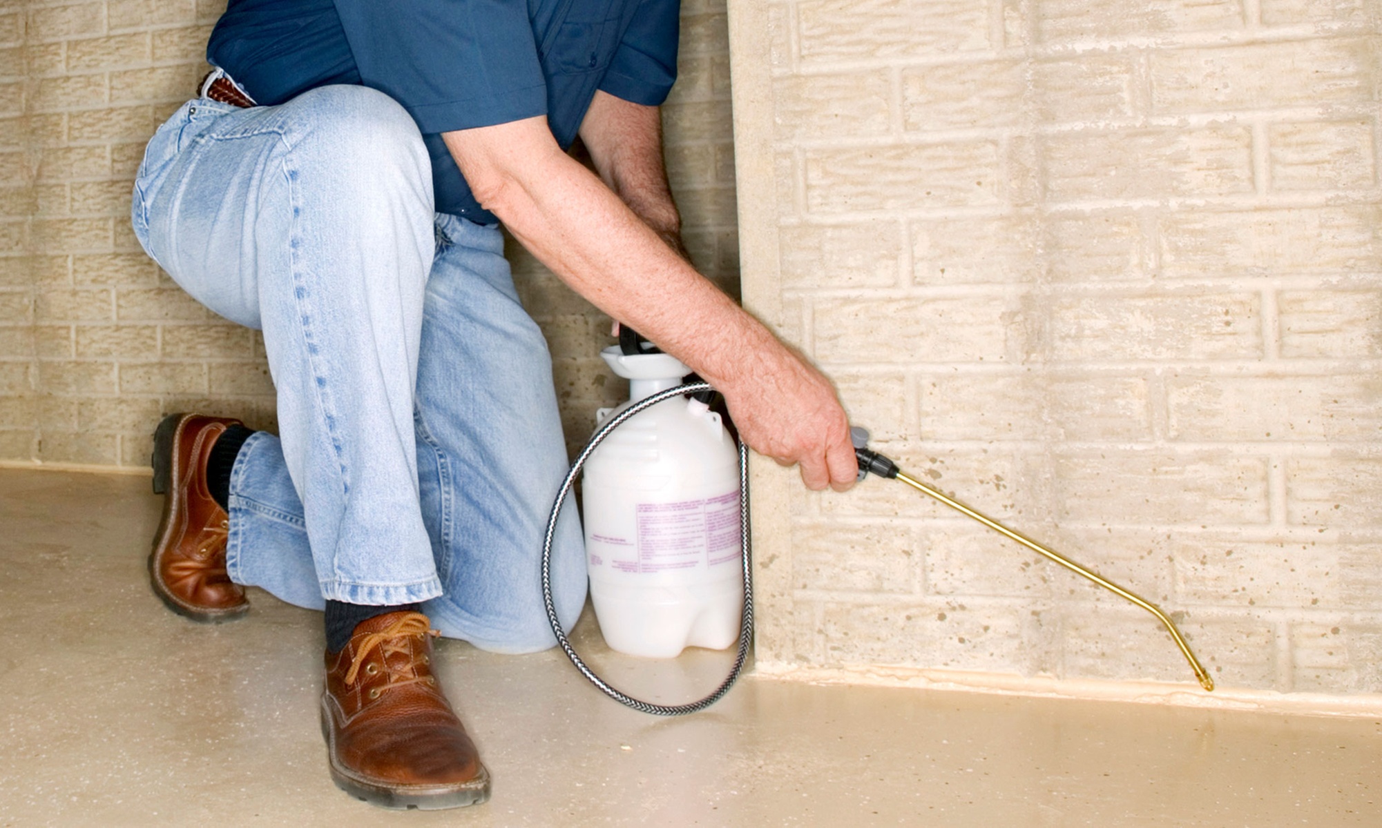Up to 67% Off on Pest Control Service - General at DFW Bug