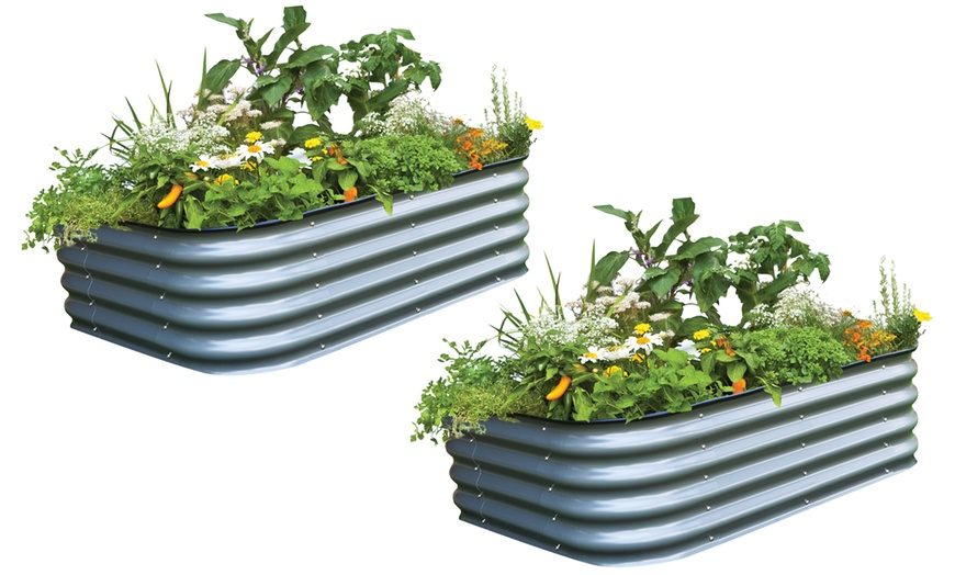 Image 10: One or Two Original Veggie Beds