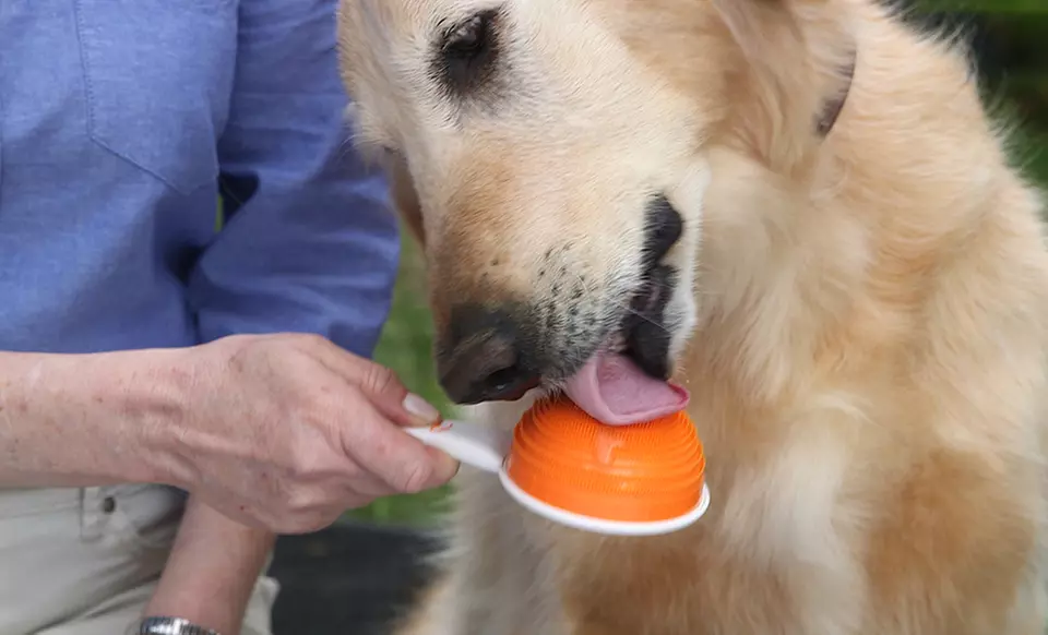 Pooch Smooch - Bad Dog Breath Eliminator - Primary Image