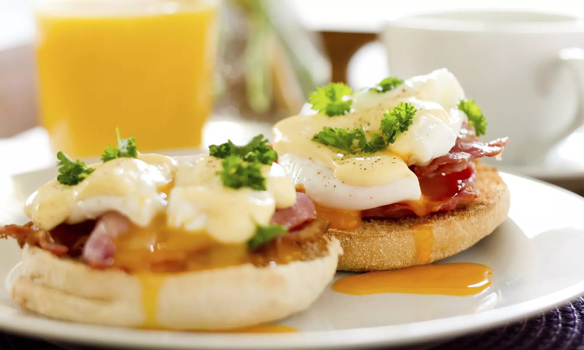 Dutch Breakfast or Lunch Food at Angelina's (Up to 40% Off). Three Options Available. - Primary Image