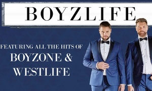 Boyzlife UK Tour