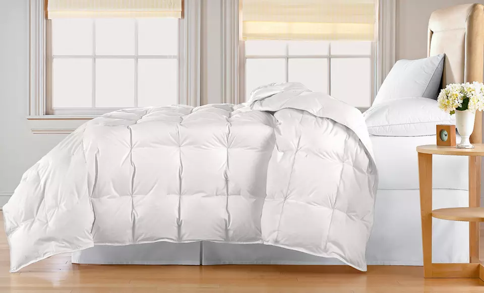 $59.99 for All Cotton Down-Blend Comforter. Multiple Styles. Free Shipping and Returns. - Primary Image